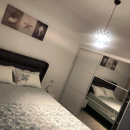 Apartament David Navodari